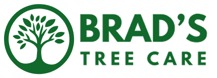 Brad's Tree Care