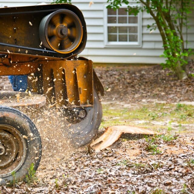 Stump Grinding