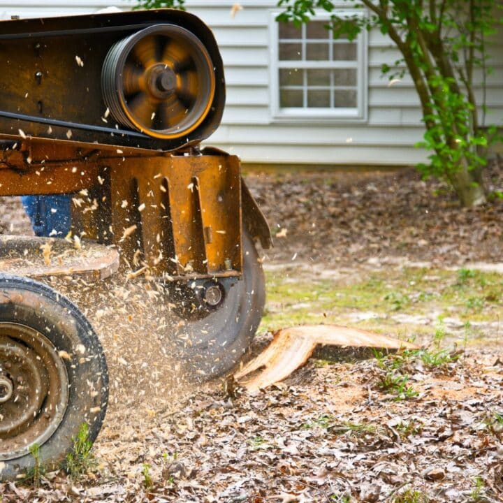 Stump Grinding
